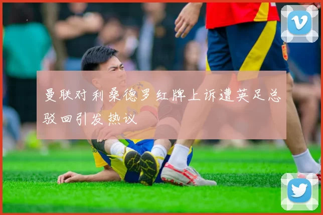 曼联对利桑德罗红牌上诉遭英足总驳回引发热议